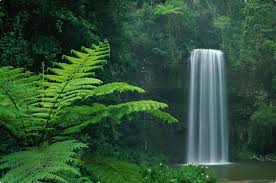 Résultat de recherche d'images pour "image"