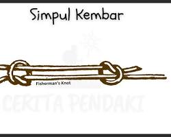 Gambar gambar simpul kembar pramuka