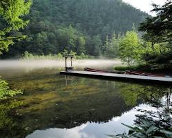 上高地明神池夏季的圖片