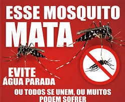 Resultado de imagem para dengue