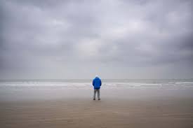 David Attenborough's "Ocean": A Call to Protect Our Seas