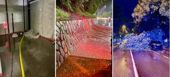 Trend Google: pioggia