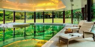 Image result for mayo now logo