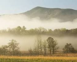 Image of Great Smoky Mountains with lush greenery and a hint of fog