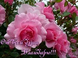 Картинки по запросу надпись моим друзьям с благодарностью