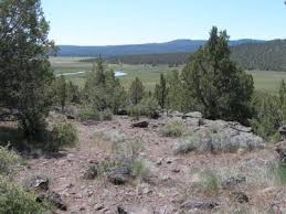 Image result for sprague river oregon