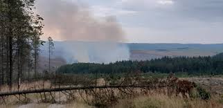 North Yorkshire Fire & Rescue Service - News update