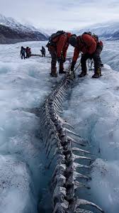 Himalayan Glacier Melt Reveals Colossal Serpent Spine | TikTok