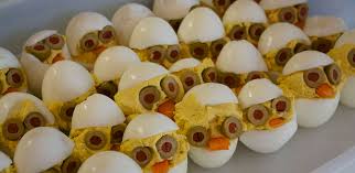 Image result for images of eggs