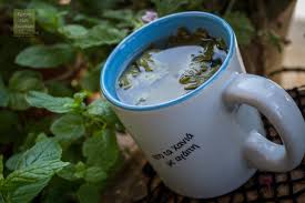 Αποτέλεσμα εικόνας για ΑΦΕΨΗΜΑ ΑΡΜΠΑΡΟΡΙΖΑ