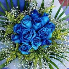 Image result for karangan bunga mawar biru