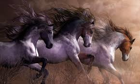 Image result for horses