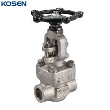 ASTM A182 F304 Globe Valve, API 602, 1/2 Inch, 800 LB, SW ...