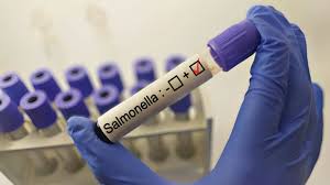 Salmonela