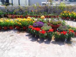 Image result for LAVA XOLO NEW AND OLD PHONES