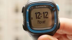 Resultado de imagen de forerunner 15