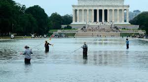 Washington’s Murky Waters: Why the Reflecting Pool is Consuming Cable News