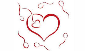 images?q=tbn:ANd9GcTpmzVc_3qq_g-nPDuYxOM