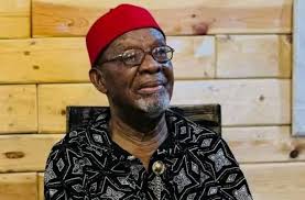 Nollywood Mourns: Veteran Actor Fabian Adibe Passes Away at 82