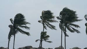 Alerta Naranja y Amarilla: Uruguay bajo Tormentas Fuertes y Lluvias Intensas