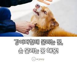 꿈# 이미지
