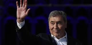 Trend Google: eddy merckx