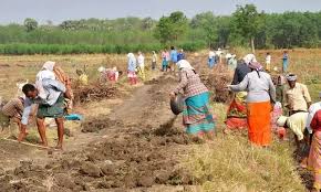 Relief for Andhra Pradesh Workers: Wage Payments Under VB-G RAM G Scheme to Begin After July 10