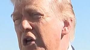 Watch Trump tell reporters he could 'run for prime minister in Israel'