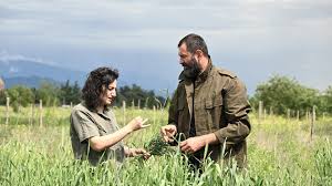 Food and Agriculture Organization - News update