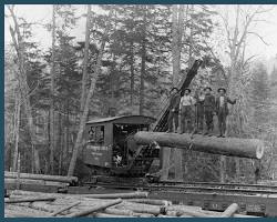 Image of Pocahontas County, West Virginia, logging industry in 1900