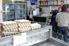 قیمت امروز گوشت، مرغ و تخم مرغ در مشهد (۱۹ شهریور ۱۴۰۵) | سبقت قیمت تخم‌مرغ از مرغ!
