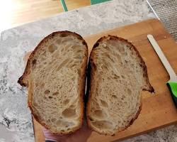 cross-section of a loaf of bread