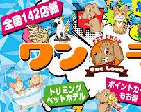 One Love pet shopの画像