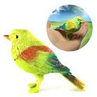 2 parrots singing and talking dolls for girls <?=substr(md5('https://encrypted-tbn1.gstatic.com/images?q=tbn:ANd9GcTqPHyBD39NC-gC2xioOn9S5CHRE4cgdD2D0z4bt3s_hMNdRQVlNjZVpYm1'), 0, 7); ?>