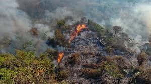 Incendios forestales en Tolima y otras regiones hoy, 25 de agosto: siga en VIVO el reporte del desastre natural