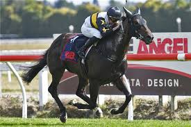 2026 Waikato Sprint: Race History