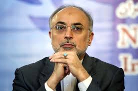 علی‌اکبر صالحی: احساس می‌کنم آقای عراقچی نمی‌خواهد از همه اختیارات قانونی خود استفاده کند/وعده‌ شریعتمداری هیچ‌گاه عملی نشد