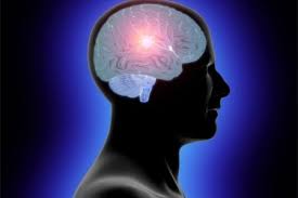 Resultado de imagen de seres inteligentes