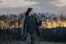 'H is for Hawk': Claire Foy Navigates Grief Through Falconry
