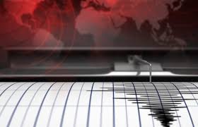 Telmex descarta afectaciones en su red tras sismo de 6.2 en Guerrero