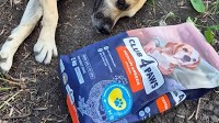 Making the World Kinder: CSO “U-Hearts Ukraine” Hands Over 423 kg of Pet Food for Evacuated Animals to CF “East SOS”