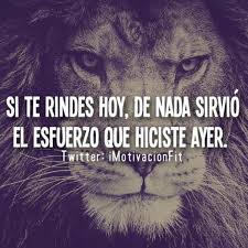 Resultado de imagen para motivación para estudiaNTES