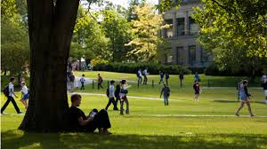 Image result for cornell university