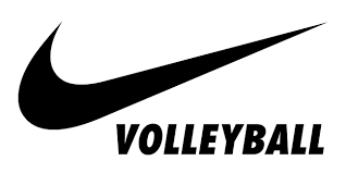 Image result for volleyball
