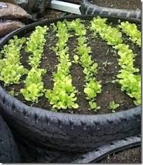 Resultado de imagem para decoração de quintal mini horta