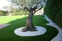 Ms de 1000 ideas sobre Jardn De rboles en Pinterest