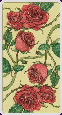 images?q=tbn:ANd9GcTr6qEoMFCHe8Tu7B84z2DukHMCSulD-TGo2V3Pv-OGeROpZs35gw