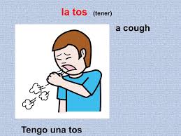 Bildresultat för tener tos