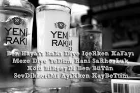 polat alemdar damar sözleri ile ilgili görsel sonucu