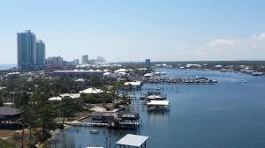 Flesh-Eating Bacteria Surge: Gulf Coast & NC Hit Hard! Stay Safe!